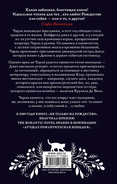 Не только на Рождество - фото 2