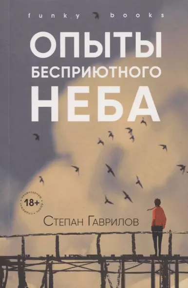 Опыты бесприютного неба - фото 1