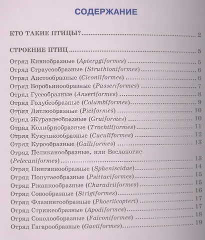 Птицы - фото 2