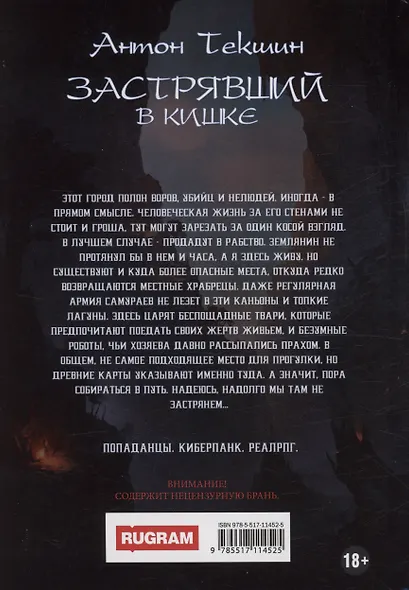 Застрявший. Книга 3. Застрявший в Кишке - фото 2