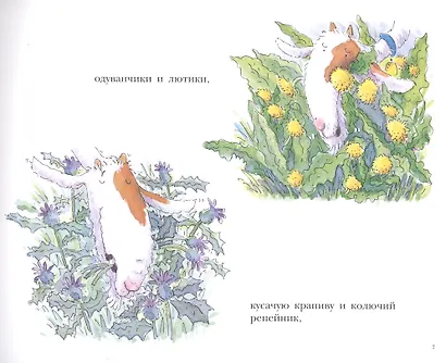 Больной зуб козлика Хрумки - фото 3