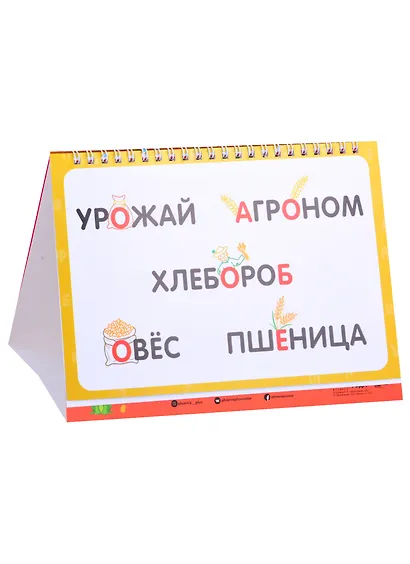 Словарные слова. Визуальный словарь. Более 200 слов - фото 3