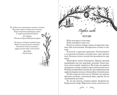 Ночь Саммерсенда - фото 5