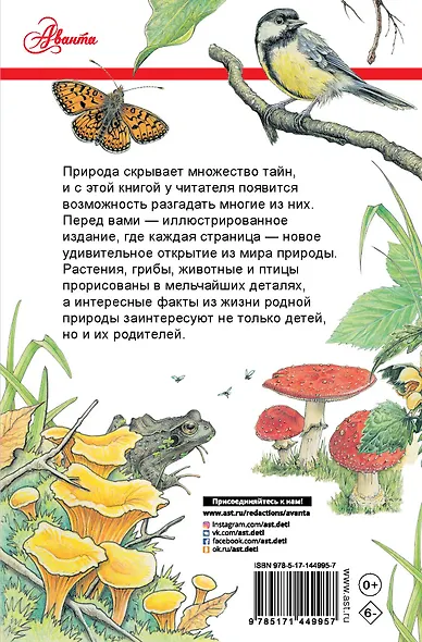 Секреты родной природы. Дневник маленьких открытий на каждый день - фото 2