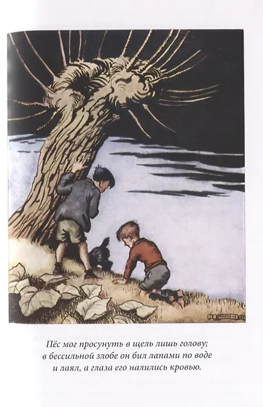 Вверх по Причуди и обратно. Вниз по Причуди (комплект из 2 книг) - фото 3