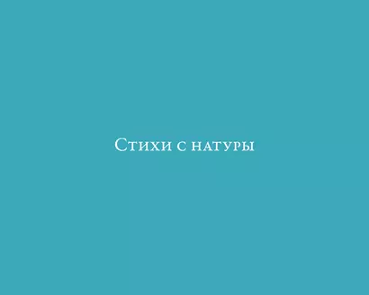 Стихи с натуры - фото 1