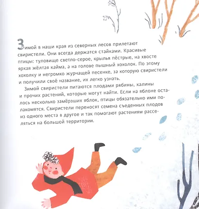 Прогулки по лесу - фото 6