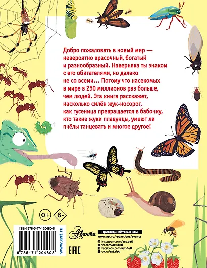 Какие бывают насекомые? - фото 2