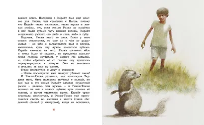 Рикки-Тикки-Тави - фото 6