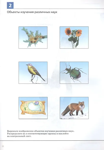 Биология. Введение в биологию. 5 класс. Альбом проектов - фото 3