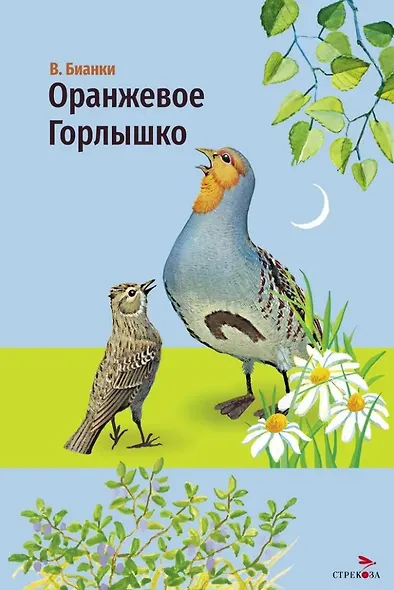 Оранжевое горлышко. Сказка - фото 1