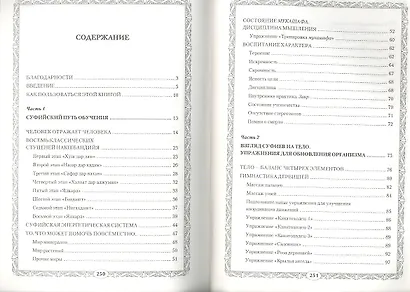Очищение. Суфийская энергетическая практика - фото 2