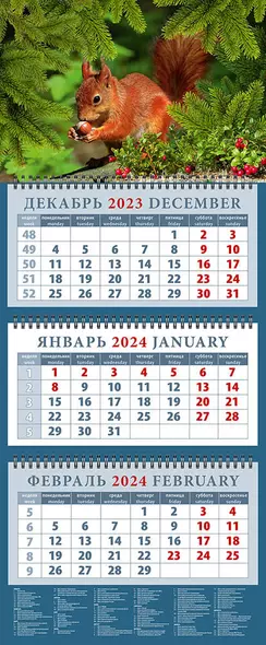 Календарь квартальный 2024г 320*760 "Белка с орехом" настенный, трёхблочный, спираль - фото 1