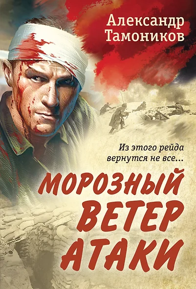 Морозный ветер атаки - фото 1