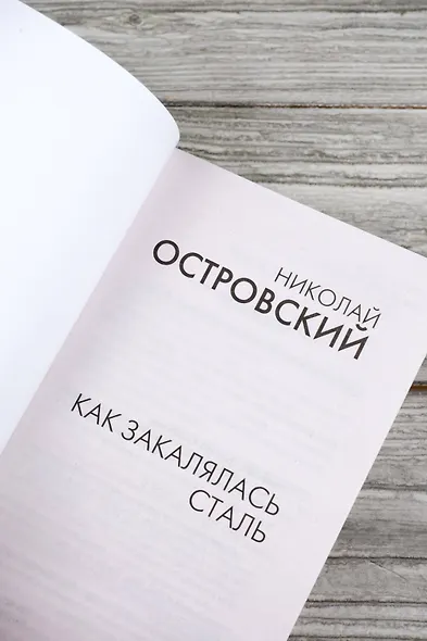 Как закалялась сталь - фото 7