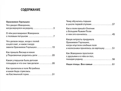 Оранжевое горлышко. Сказка - фото 3