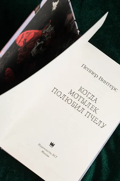 Когда мотылек полюбил пчелу - фото 13