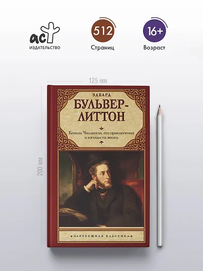 Кенелм Чиллингли, его приключения и взгляды на жизнь - фото 4