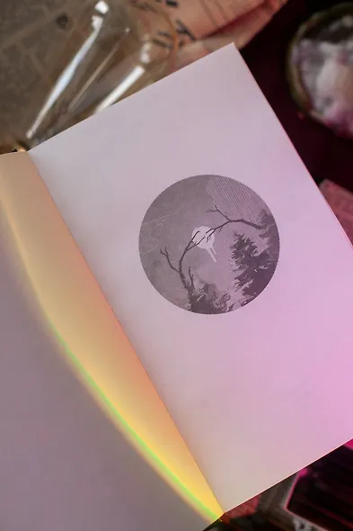 До кислотных дач - фото 9