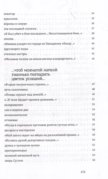 Солнце контрабандистов - фото 4