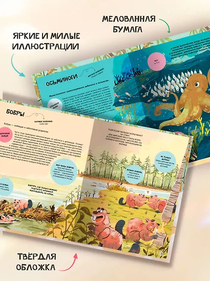 Семья в мире животных. Любовь, забота и воспитание в дикой природе - фото 6