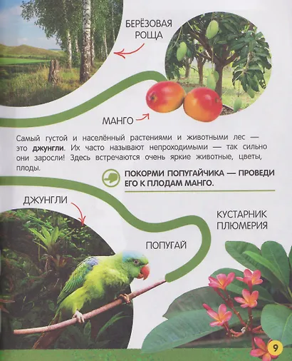 Моя большая книга о природе - фото 4