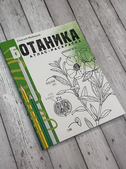Ботаника. Атлас-раскраска - фото 4