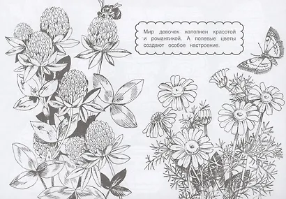 Раскраска Для девочек - фото 2