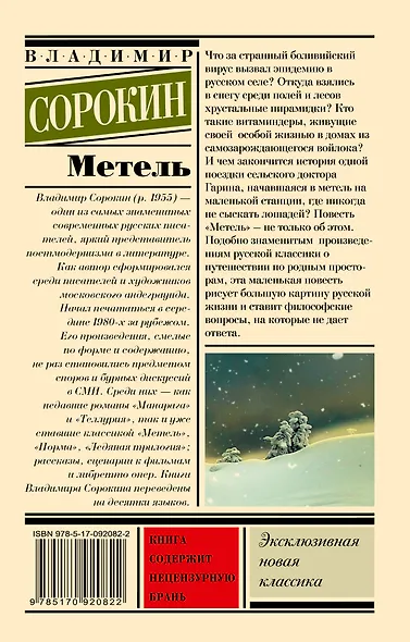 Метель - фото 2