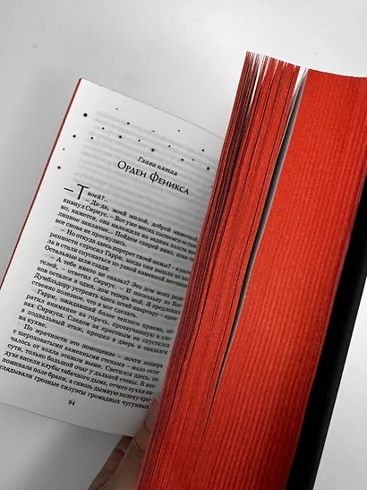 Гарри Поттер и Орден Феникса (Гриффиндор) - фото 10