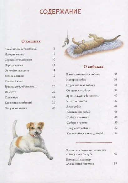 Моя самая красивая книга о кошках и собаках - фото 6