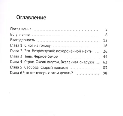 Сияние тени. Реальные истории о том, как тень становится светом - фото 2