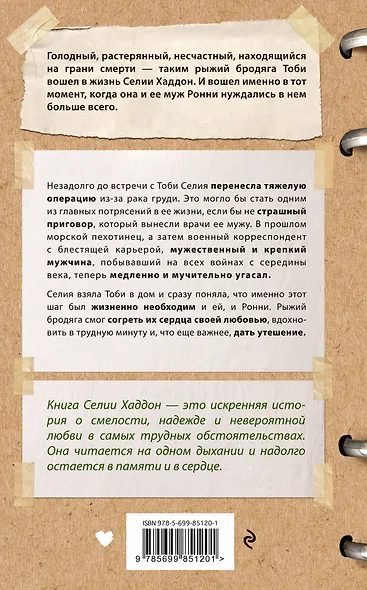 Рыжий бродяга Тоби. Кот, подаривший утешение в самые трудные дни - фото 2