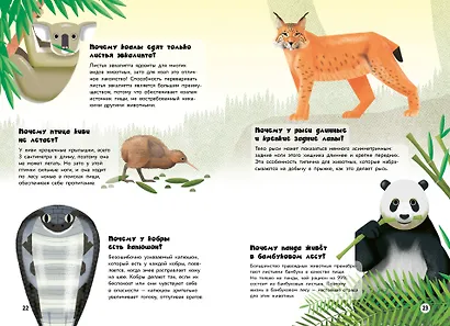 200 ПОЧЕМУ. Вопросы и ответы о животных - фото 6