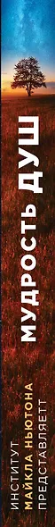 Мудрость душ. Реальные истории путешествий в прошлые жизни от Института Майкла Ньютона - фото 5