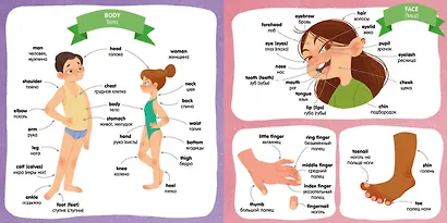 Английский словарь в картинках - фото 4