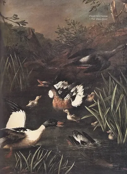 Записки ружейного охотника - фото 5