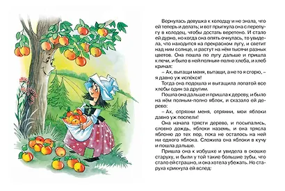 Госпожа Метелица - фото 4