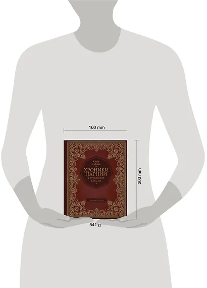 Серебряное кресло (цв. ил. П. Бэйнс) - фото 12