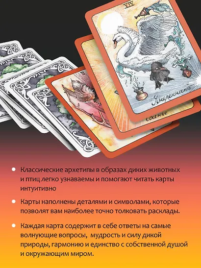 The Wild Dark Tarot / Дикое Темное Таро - фото 7