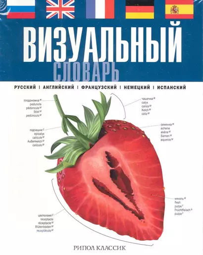 Визуальный словарь. Русский. Английский. Французский. Немецкий. Испанский - фото 1