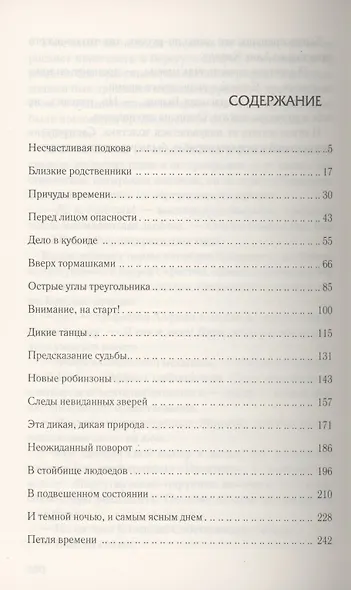 Врата времени по ту сторону бездны: Роман - фото 2