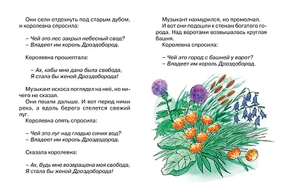 Король Дроздобород - фото 4