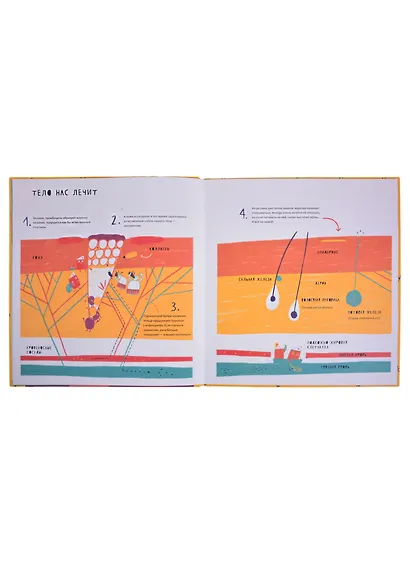 Тайная жизнь болячек - фото 4