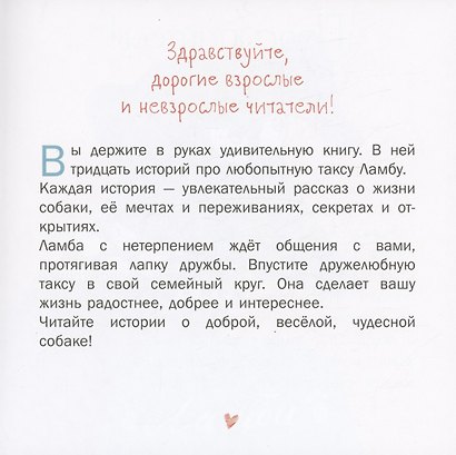 У самого синего моря. 30 историй для первого чтения - фото 2