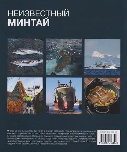 Неизвестный минтай. О промысле и потреблении рыбы в России и за рубежом - фото 2