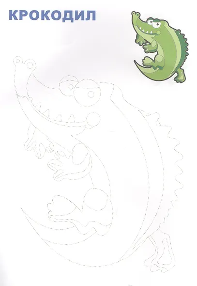 Обведи и раскрась! Кто ползает, плавает, летает - фото 4