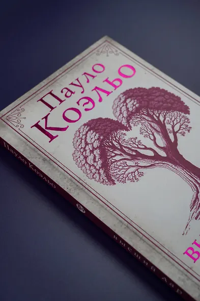 Высший дар - фото 8