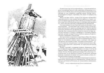 Путешествие и приключения капитана Гаттераса. Найденыш с погибшей "Цинтии" - фото 7