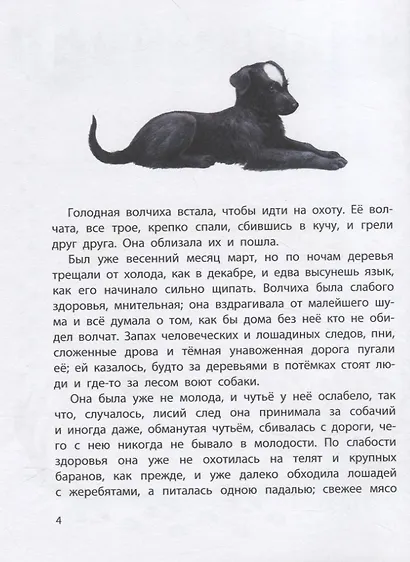 Истории из щенячьей жизни - фото 4